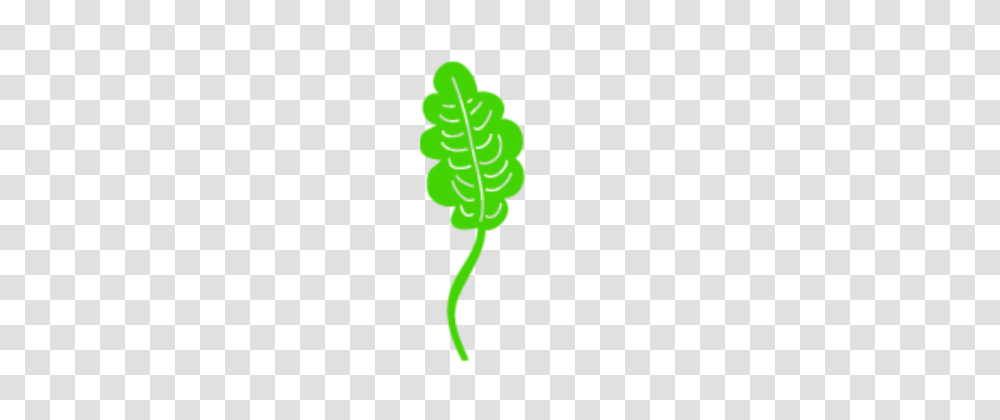 Black Leaf Images Vectors And Free Download, Green, Plant, Logo Transparent Png