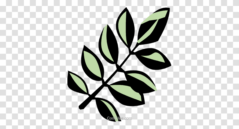 Black Locust Royalty Free Vector Clip Art Illustration, Painting, Leaf, Plant Transparent Png