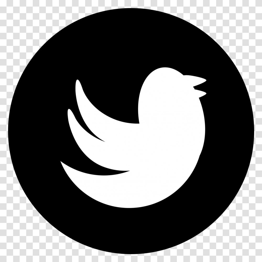 Black Logo Of Twitter, Silhouette, Symbol, Trademark, Stencil Transparent Png