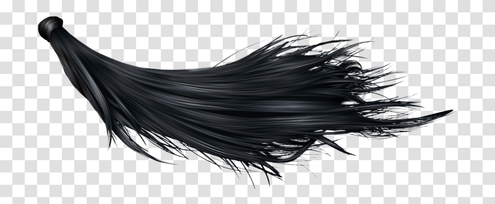 Black Long Hair, Bird, Animal, Wire, Cable Transparent Png