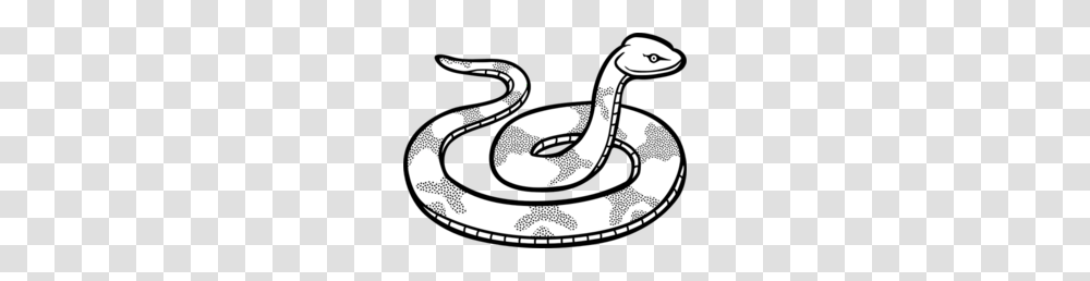 Black Mamba Clipart, Snake, Reptile, Animal, Outdoors Transparent Png
