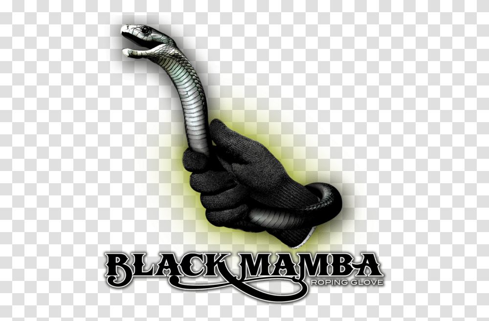Black Mamba Image Snake, Reptile, Animal, Cobra, Smoke Pipe Transparent Png