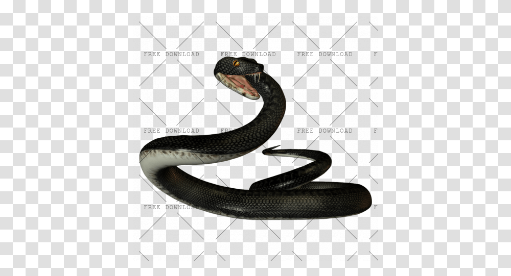 Black Mamba Image With Black Mamba Snake, Reptile, Animal, Cobra Transparent Png
