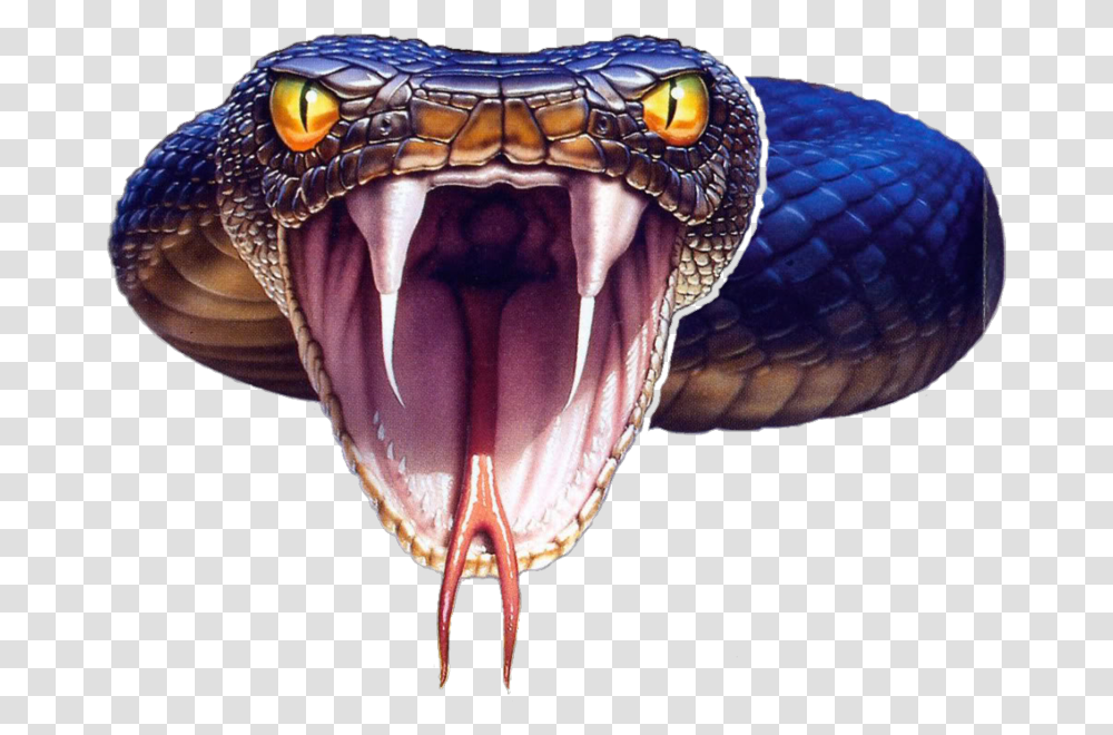 Black Mamba Snake Photo Snake Black Mamba, Reptile, Animal, Turtle, Sea Life Transparent Png