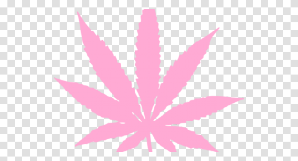 Black Marijuana Leaf, Plant, Maple Leaf, Flower, Blossom Transparent Png