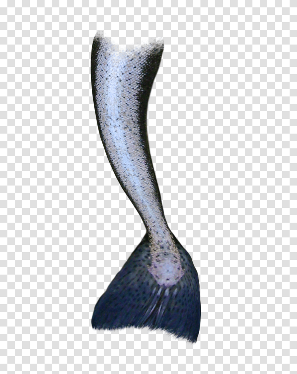 Black Mermaid Tail Background Mermaid Tail, Animal, Sea Life, Bird, Mammal Transparent Png