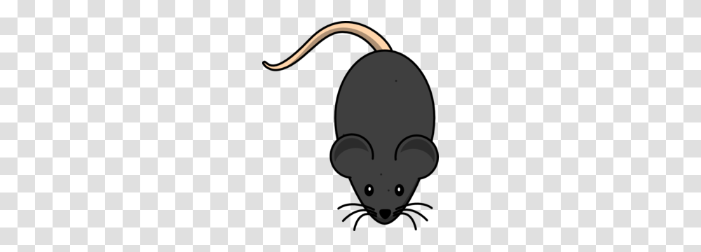 Black Mouse Clip Art, Mammal, Animal, Rodent, Plant Transparent Png
