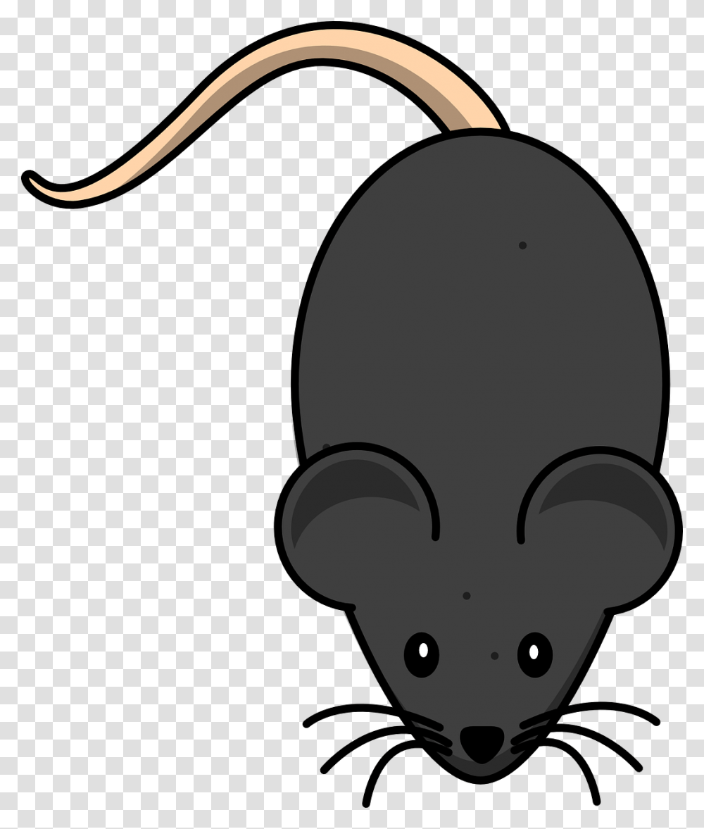 Black Mouse Clipart, Mammal, Animal, Lamp, Rodent Transparent Png
