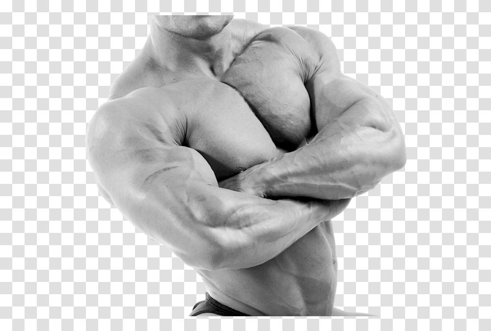 Black Muscle Man Download Hombre Musculoso En, Person, Human, Arm, Torso Transparent Png