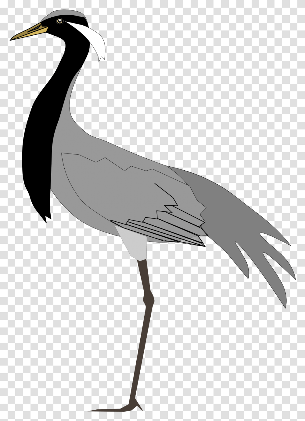 Black Necked Crane Vector, Animal, Bird, Crane Bird, Stork Transparent Png