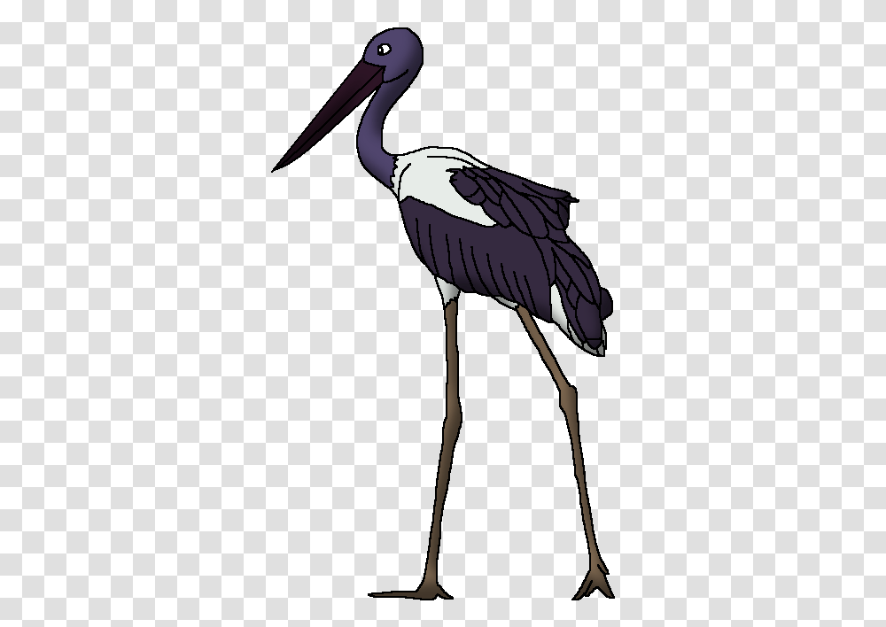 Black Necked Stork Wildlife Animal Pedia Wiki Fandom Black Stork, Bird, Crane Bird, Beak Transparent Png