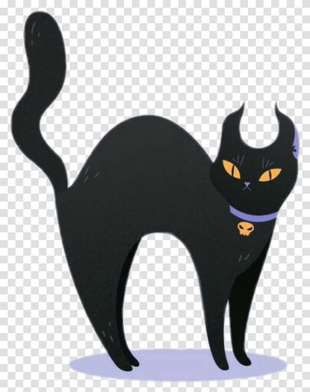 Black Negro Cat Gatos Kawaii Adorable Unicorn Unicornio, Animal, Pet, Mammal, Black Cat Transparent Png