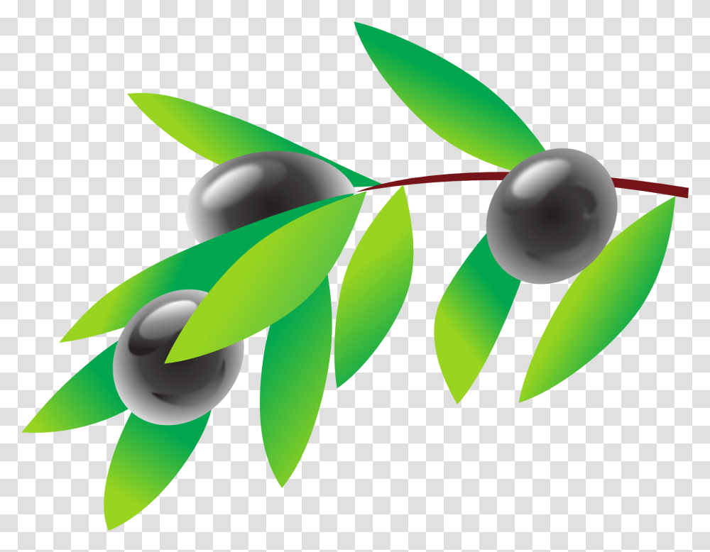 Black Olive Branch Drawing Free Image Olive Cliparts, Green, Graphics, Plant, Leaf Transparent Png