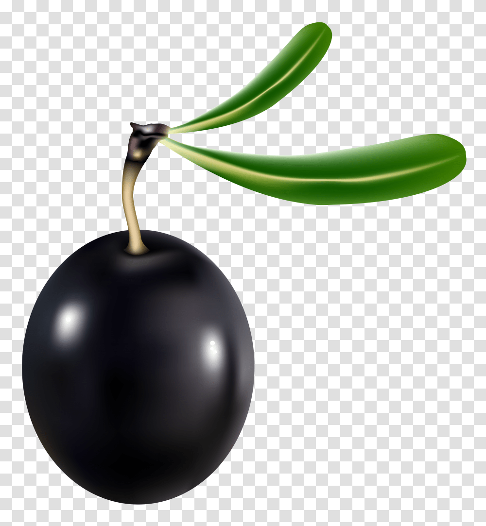Black Olive Clip Art, Plant, Lamp, Food, Sprout Transparent Png