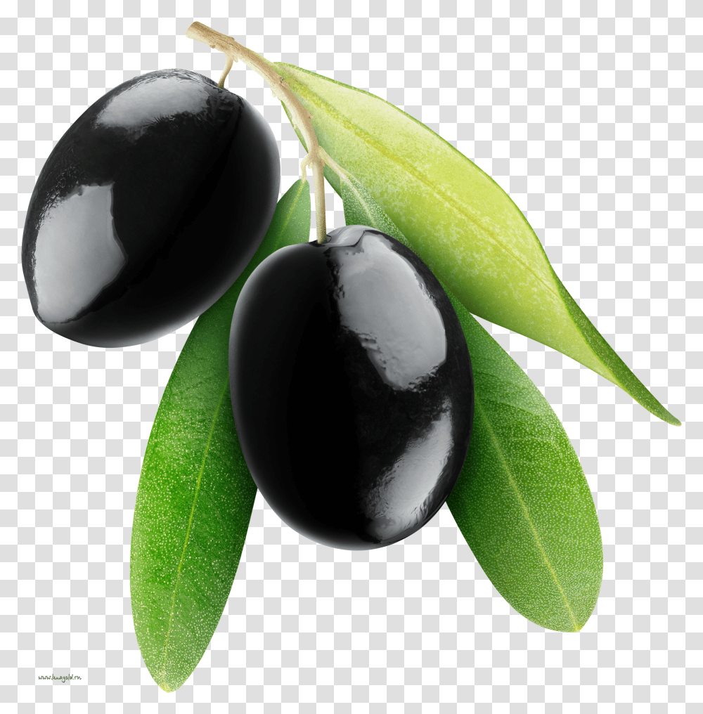 Black Olive Oil Black Olive Transparent Png