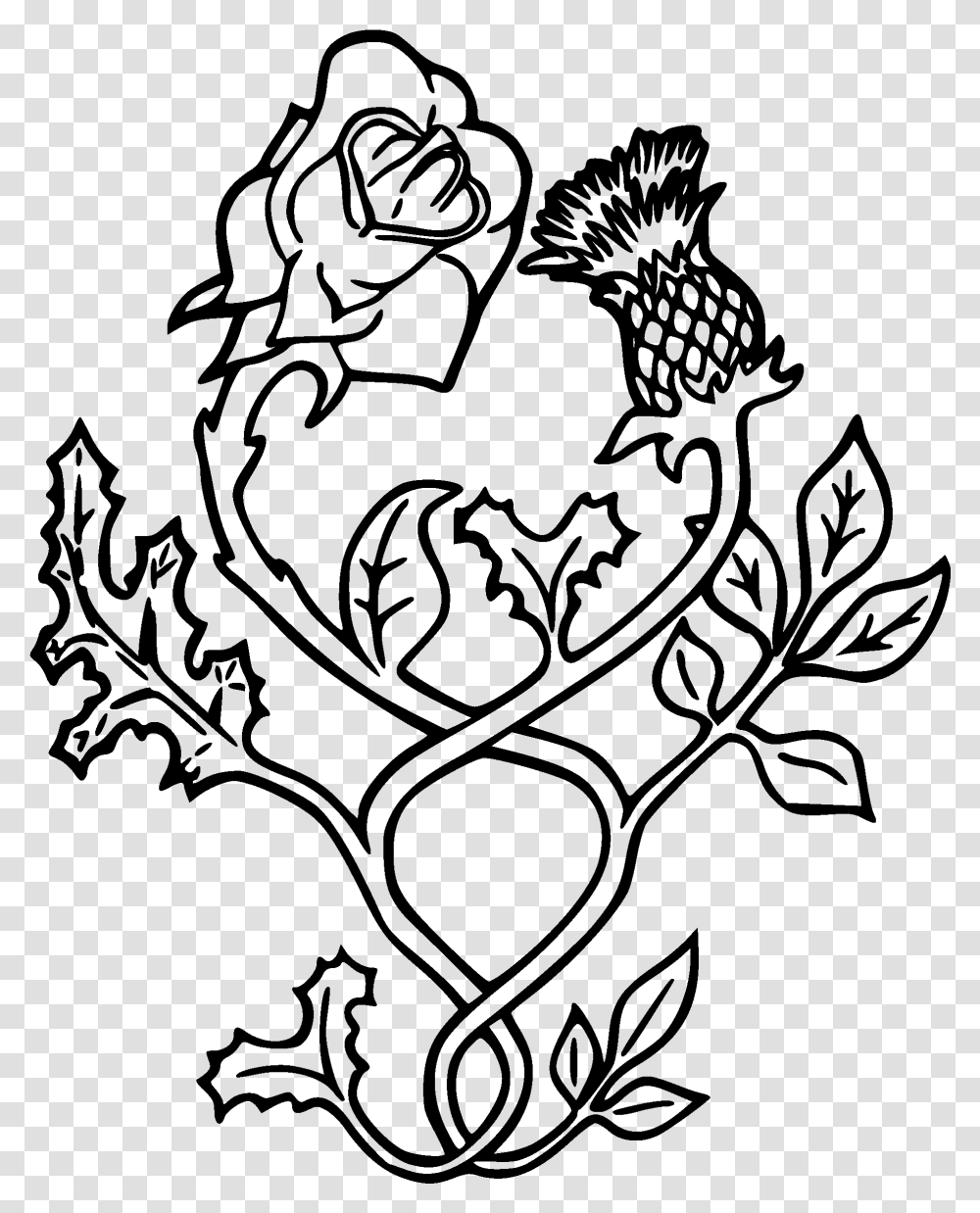 Black Outline Thistle With Rose Tattoo Stencil Rose And Thistle Vector, Gray, World Of Warcraft Transparent Png