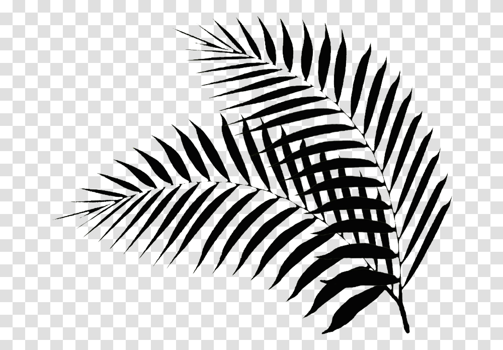Black Palm Leaf Black Palm Leaf Palm Leaf Clipart Black And White, Spider Web Transparent Png