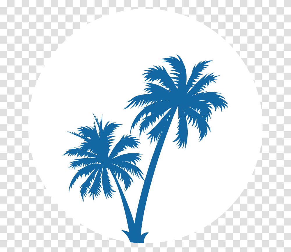 Black Palm Tree Coconut Tree Vector, Plant, Arecaceae Transparent Png