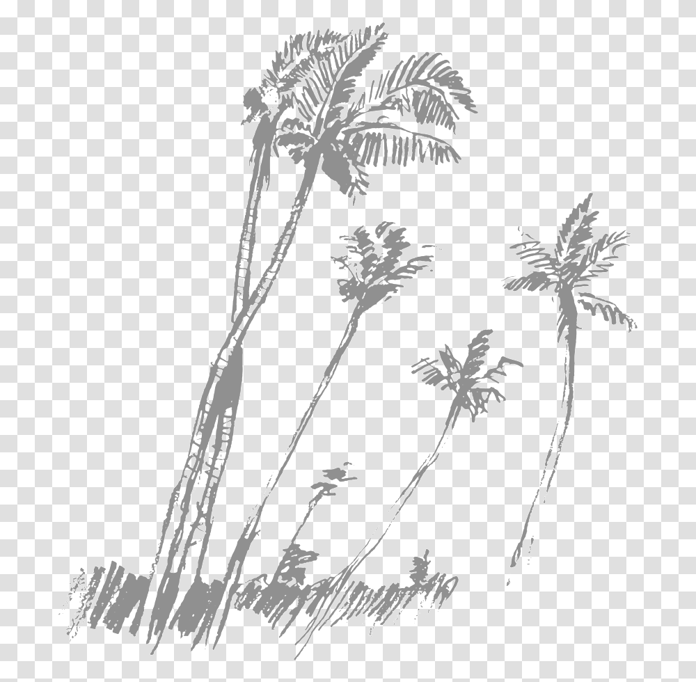 Black Palm Tree Palm Trees Drawing 305355 Vippng Vector Graphics, Plant, Floral Design, Pattern, Art Transparent Png
