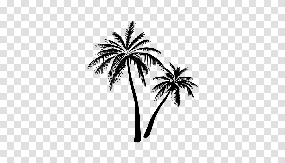 Black Palm Tree Silhouette, Plant, Arecaceae, Tropical Transparent Png