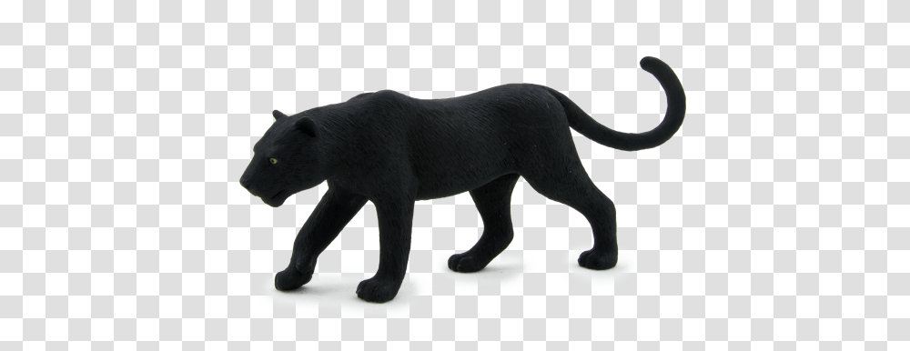 Black Panther, Mammal, Animal, Wildlife, Bear Transparent Png