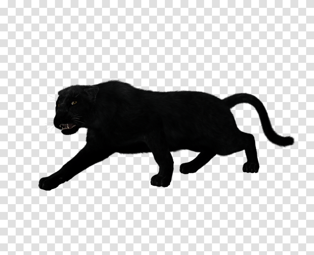Black Panther Sitting, Wildlife, Mammal, Animal, Jaguar Transparent Png