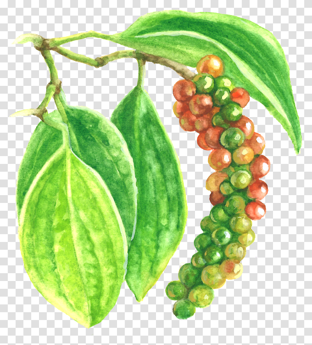 Black Pepper Extract Seedless Fruit, Plant, Grapes, Food, Pineapple Transparent Png