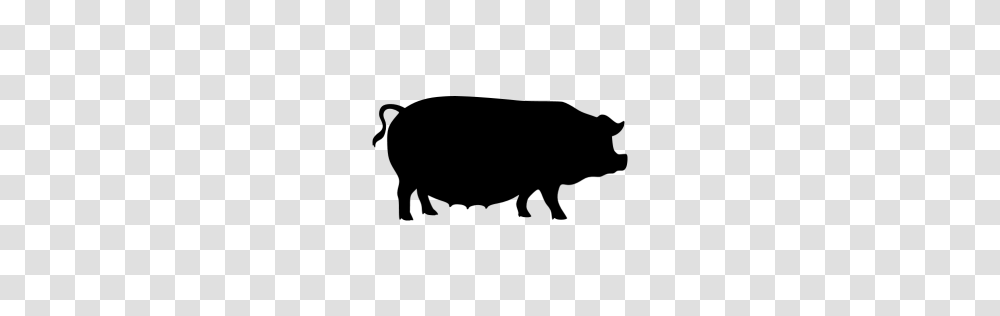 Black Pig Icon, Gray, World Of Warcraft Transparent Png