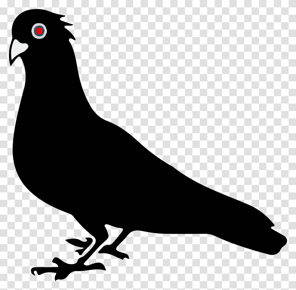 Black Pigeon, Silhouette, Animal, Bird, Mammal Transparent Png
