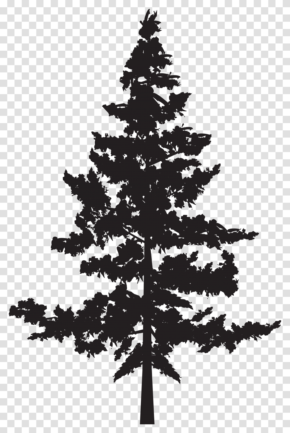 Black Pine Tree Pinus Contorta Pine Trees Silhouette, Plant, Fir, Lighting, Conifer Transparent Png