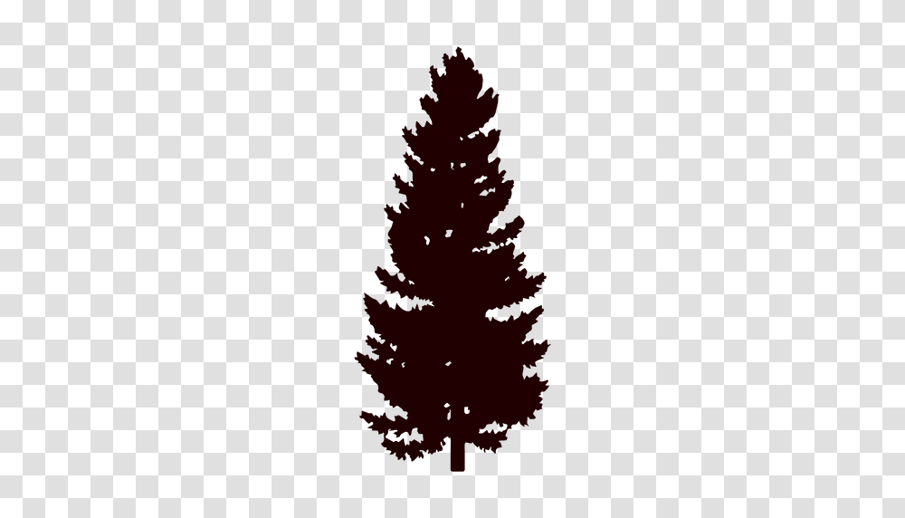 Black Pine Tree Silhouette, Plant, Christmas Tree, Ornament, Fir Transparent Png
