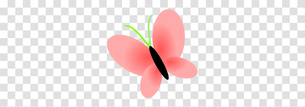 Black Pink Butterfly Clip Art Etiket Fireworks, Plant, Flower, Blossom, Balloon Transparent Png