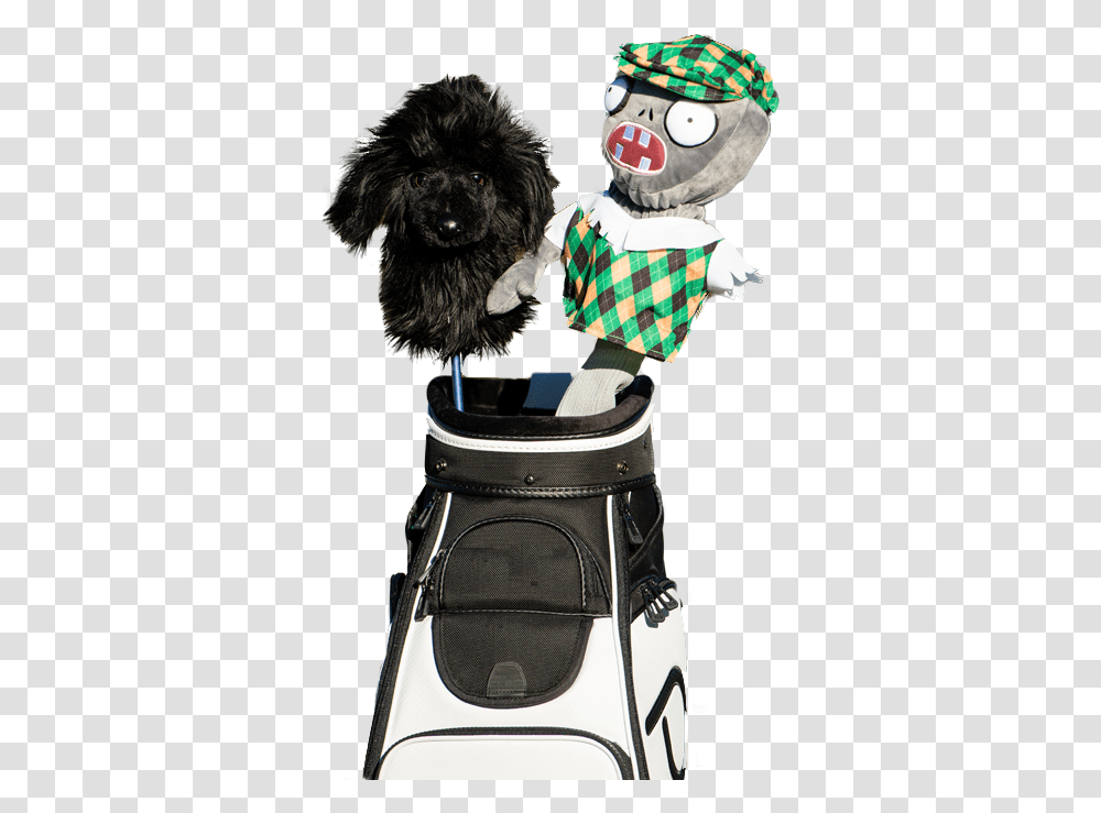 Black Poodle Golf Head Cover, Person, Human, Dog, Pet Transparent Png