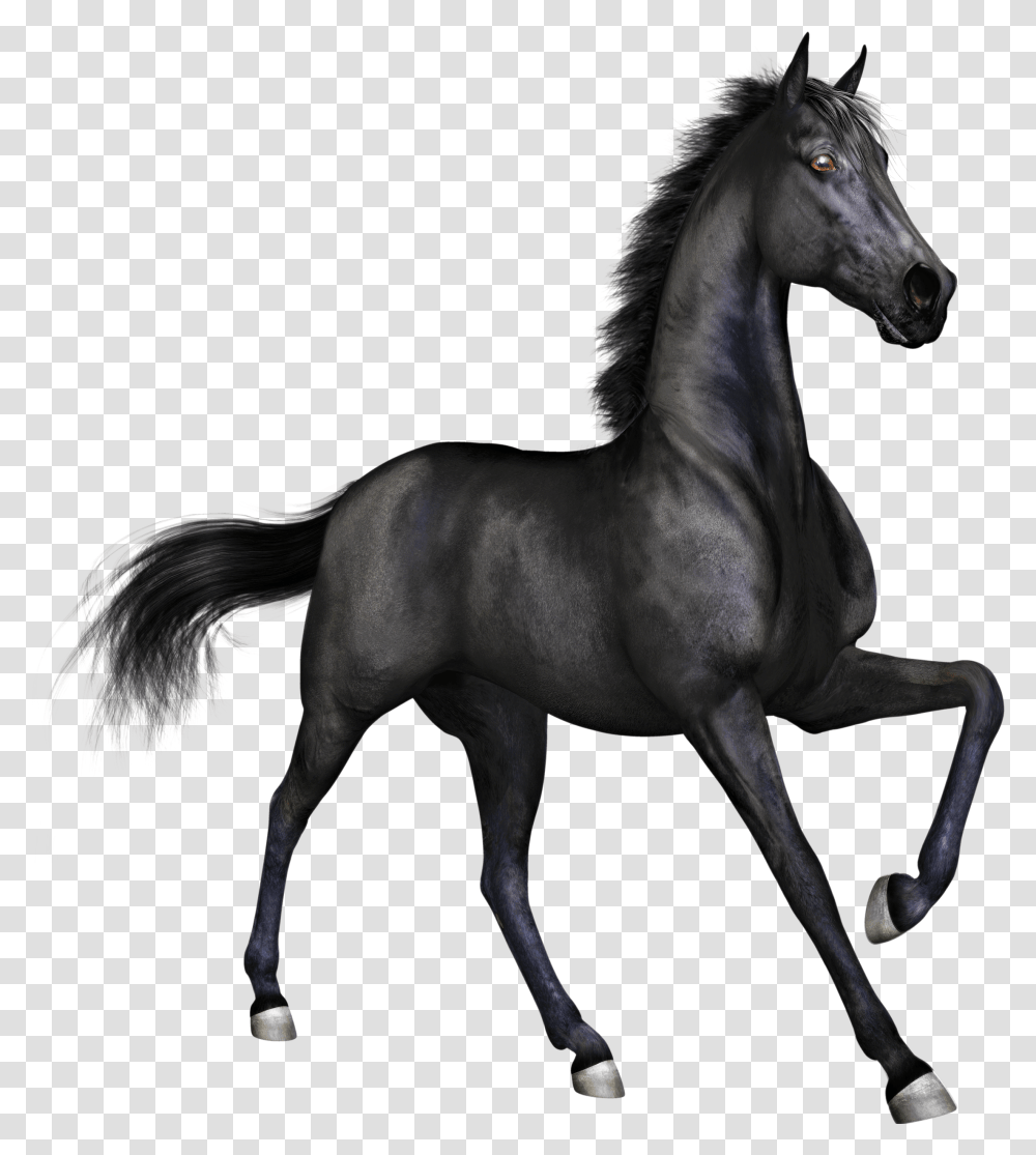 Black Race Horse Black Horse, Mammal, Animal, Antelope, Wildlife Transparent Png