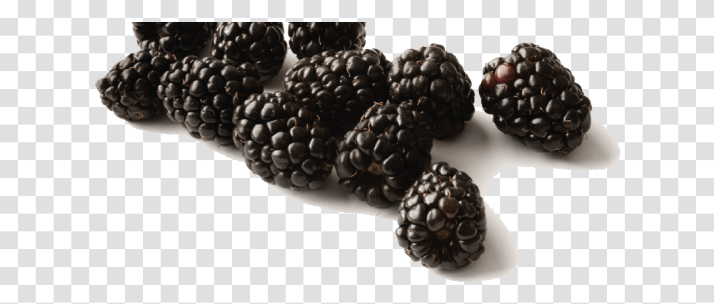 Black Raspberries Free Download Black Raspberry Hd, Plant, Fruit, Food Transparent Png