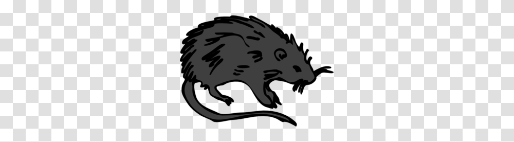 Black Rat Clip Art, Stencil, Mammal, Animal, Hog Transparent Png