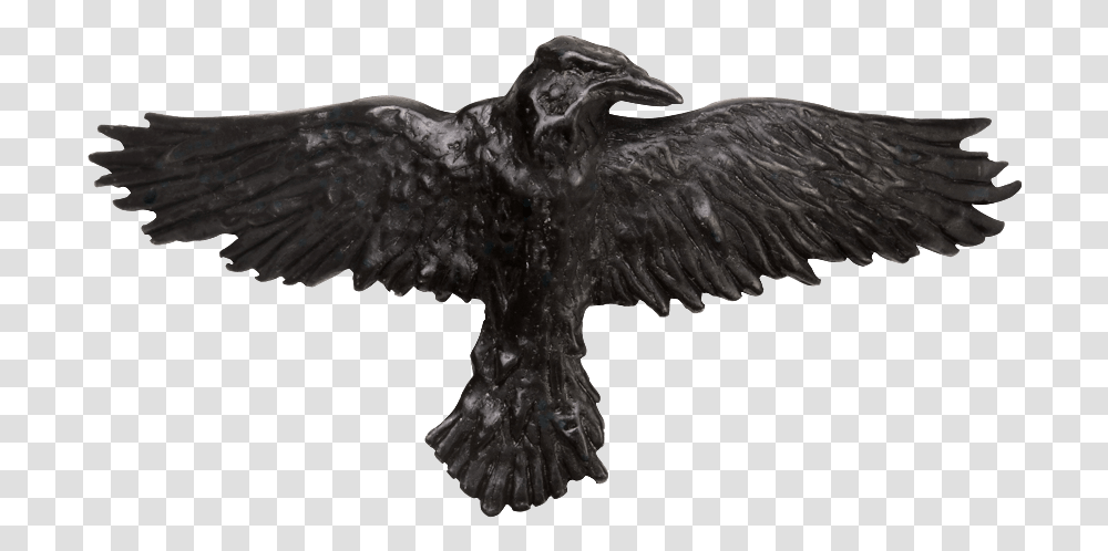 Black Raven Hair Clip Gothic Raven Crow, Eagle, Bird, Animal, Flying Transparent Png