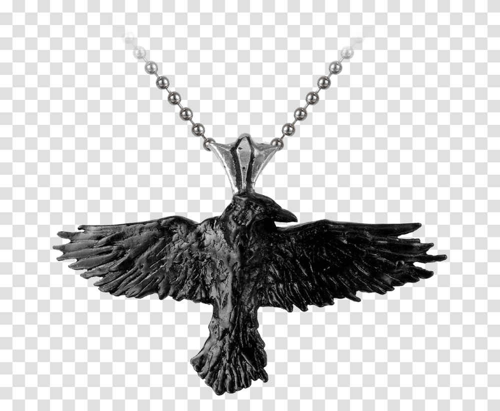 Black Raven Necklace Corbeau Accessoire Cheveux, Bird, Animal, Jewelry, Accessories Transparent Png