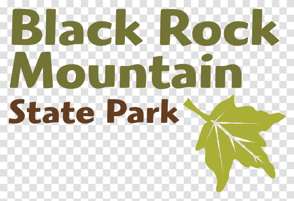 Black Rock Mountain Logo Maple Leaf, Plant, Tree Transparent Png