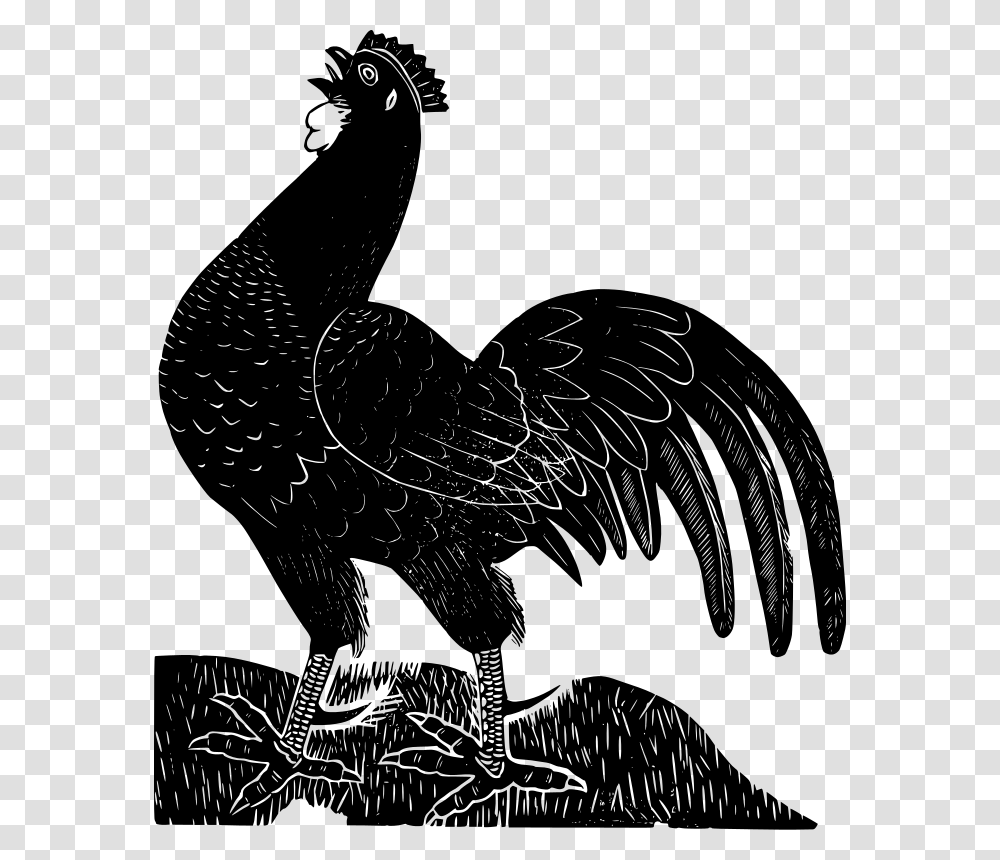 Black Rooster, Animals, Gray, World Of Warcraft Transparent Png