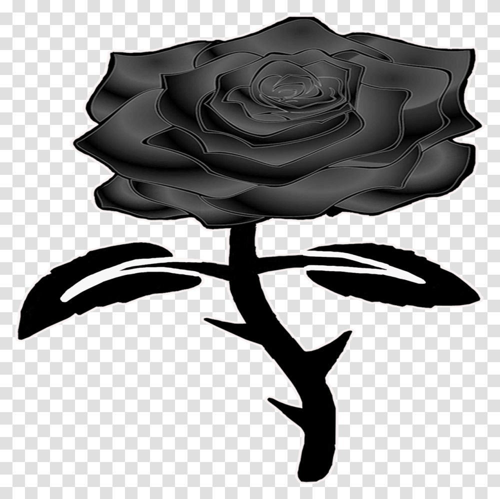 Black Rose Black Rose, Plant, Flower, Blossom, Carnation Transparent Png