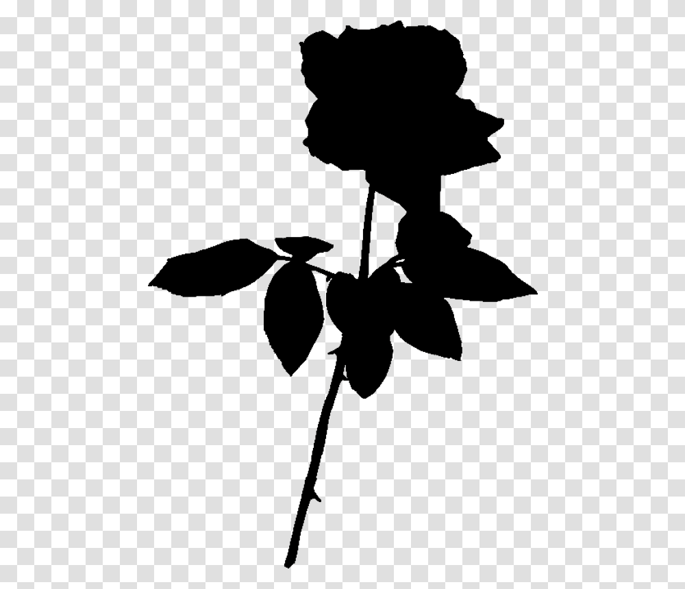 Black Rose Black Rose Silhouette, Outdoors, Nature, Night, Outer Space Transparent Png