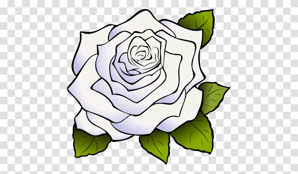 Black Rose Clip Art, Flower, Plant, Blossom, Petal Transparent Png