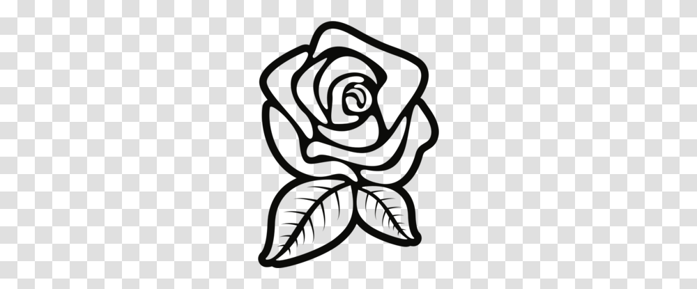 Black Rose Clipart, Plant, Spiral, Pattern Transparent Png