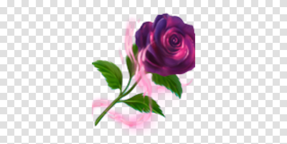 Black Rose Lovely, Flower, Plant, Blossom, Floral Design Transparent Png