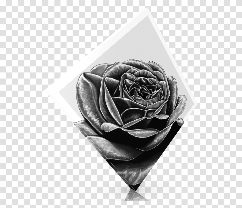 Black Rose Lovely, Plant, Drawing, Art, Flower Transparent Png