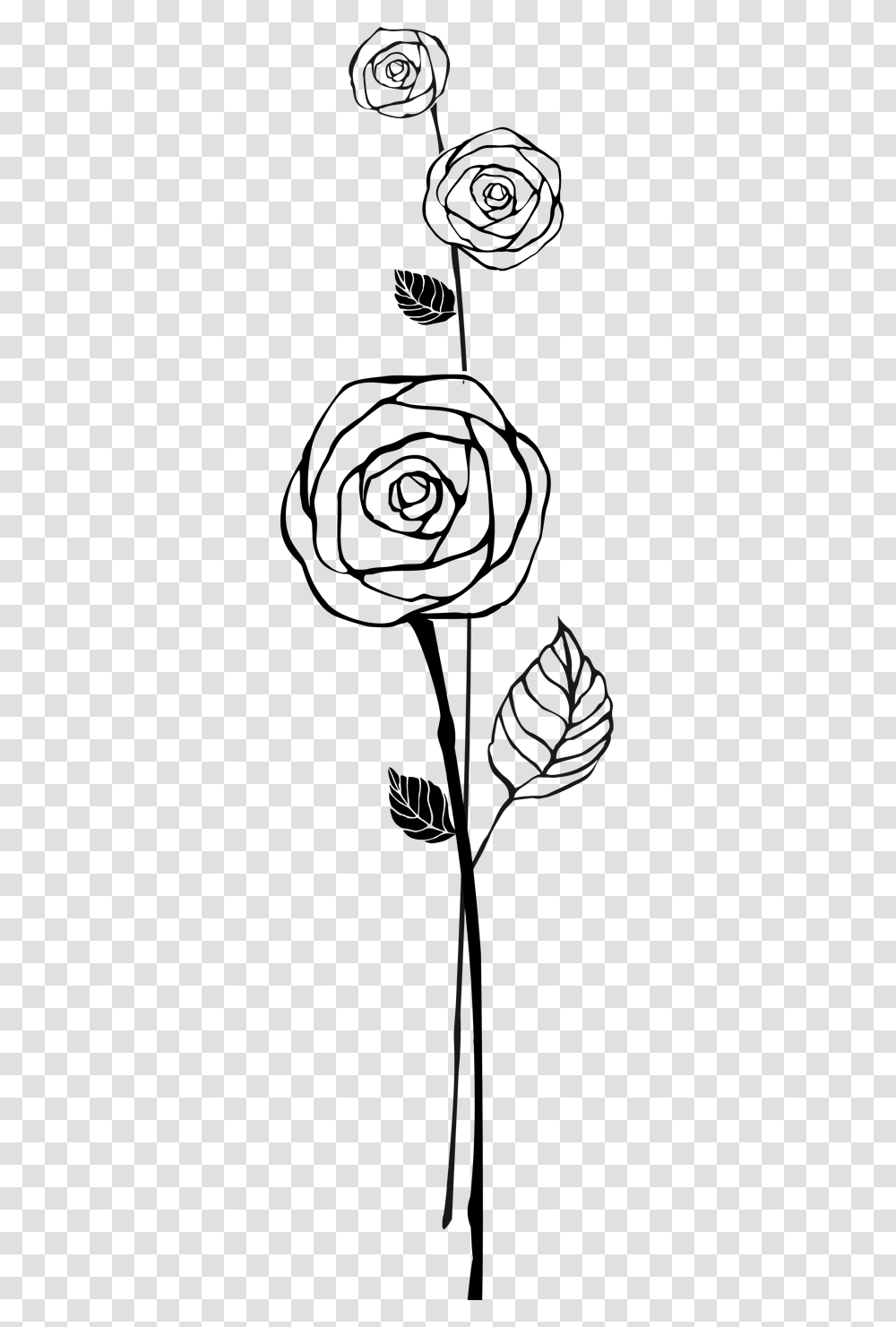 Black Rose Outline, Silhouette, Person, People Transparent Png