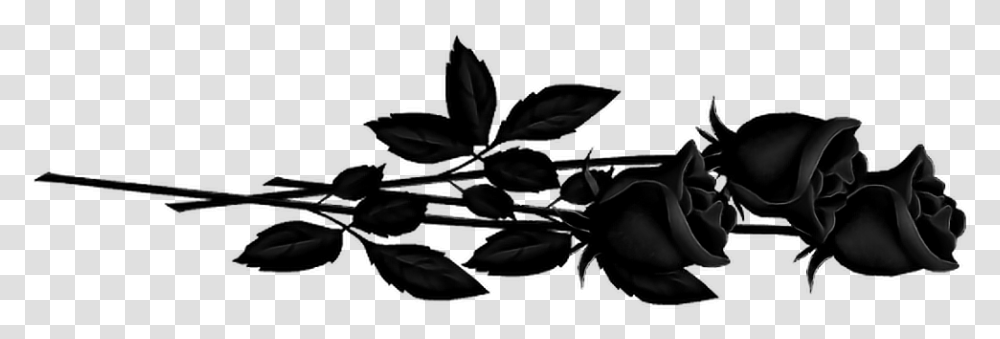 Black Rose Rosa Blackrose Freetoedit Red Roses, Plant, Flower, Outdoors, Tree Transparent Png