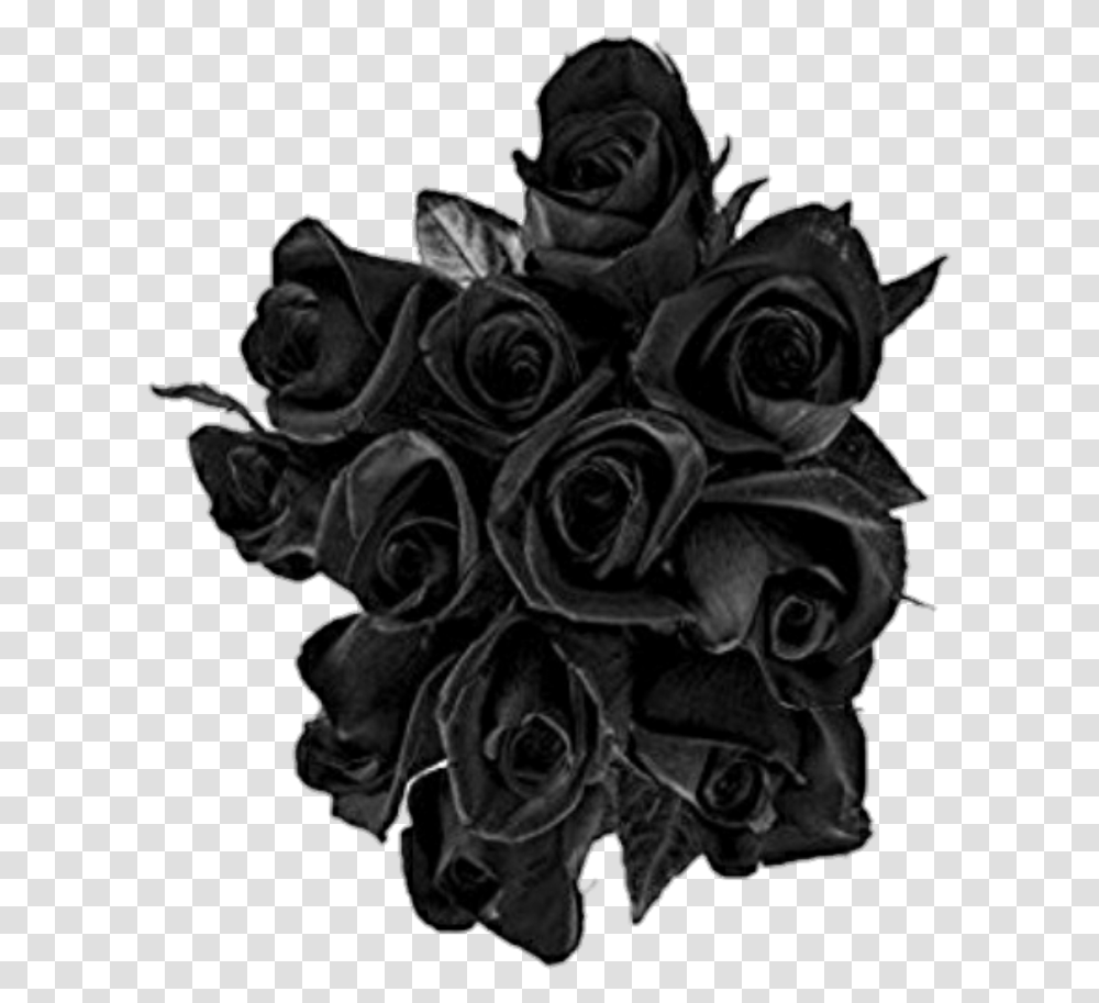 Black Rose Roses Buquet Black Rose, Plant, Flower, Blossom, Person Transparent Png