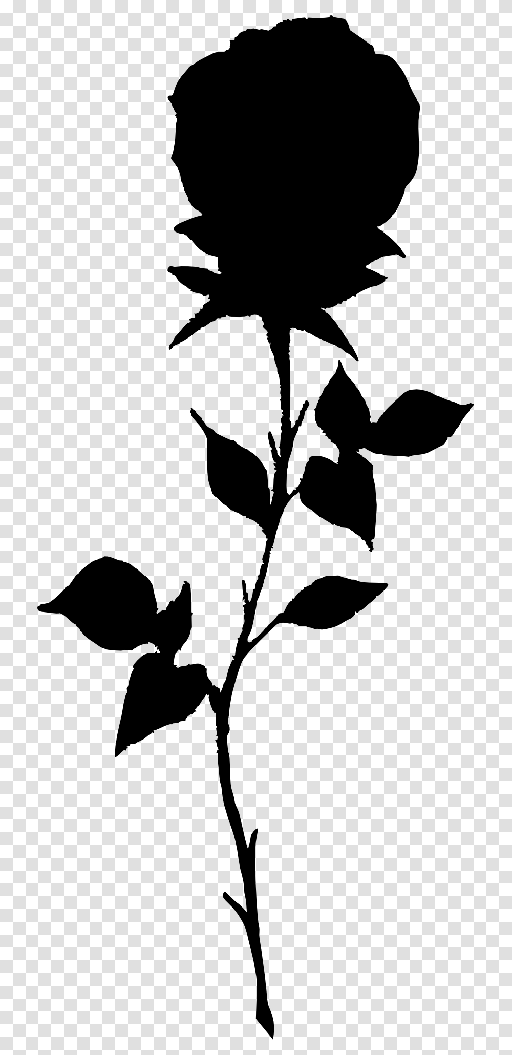 Black Rose Silhouette, Stencil, Leaf, Plant, Bird Transparent Png